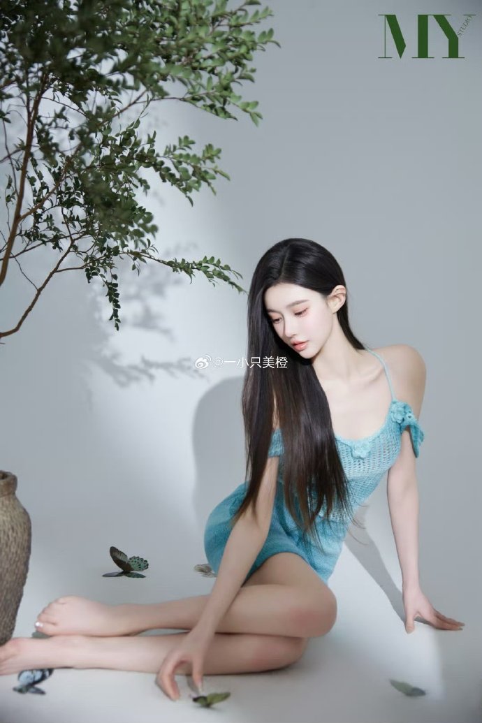 山海情